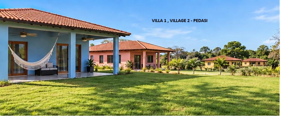 Villa 1 exterior and garden