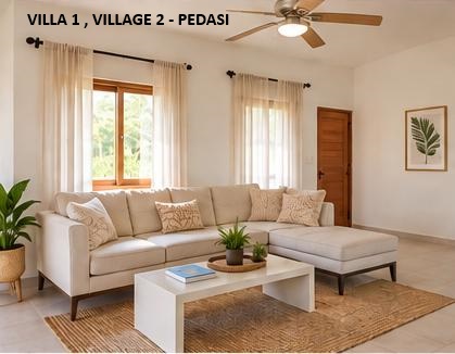 Furnished living room